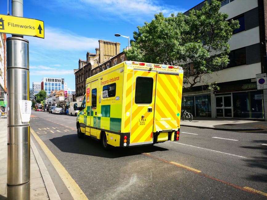 https://rubbishcollectionmerton.co.uk/blog/sameday-rubbish-collection-in-merton-emergency-service-options/